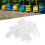 Beehive Frame Strip 30 PCS - Isolating Queen Bee Beekeeping Fixing Accessories 10