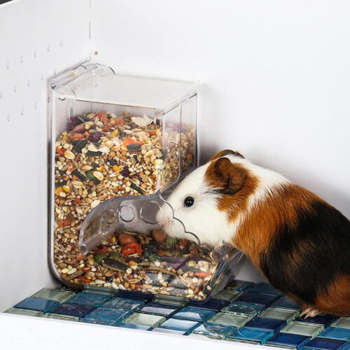 Automatic Pet Feeder Large Capacity Secure Lock Easy Refill for Hamsters Parrots Hedgehogs Mice 1