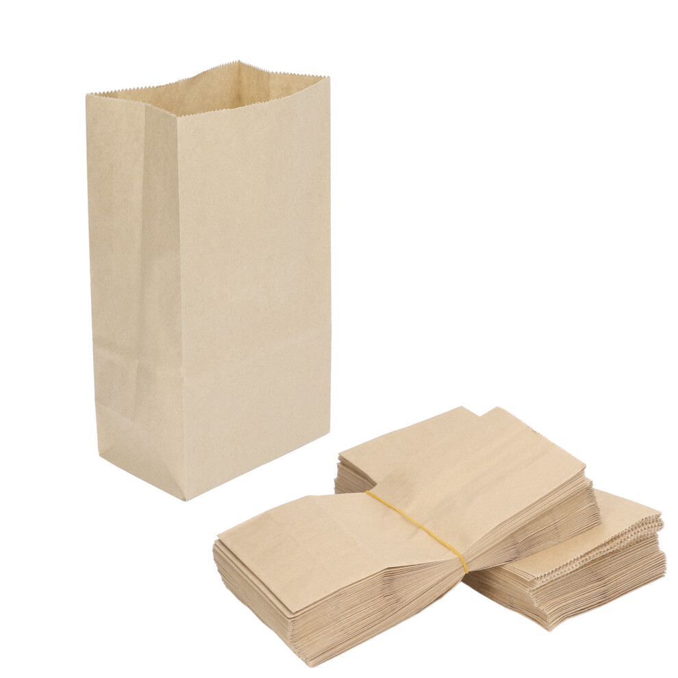 100 Stück Kraftpapiertüten in