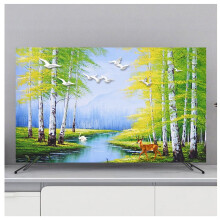Indoor TV Cover 3280 Inch For TV And PC Soft Polyester DustProof Protector Printed Dust Cover Fits 5860in Smart TV