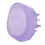 15 ml Kopfhaut-Applikatorkamm, transparenter 1