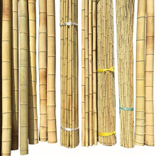 Heavy Duty Bamboo Garden Canes Plant Support Stakes, 5ft Thick Durable, Multiple Length Options
