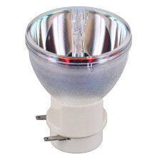 Projector Lamp RLC108 /RLC109 /RLC116 /5J.JGP05.001 for PA503S PA503X PG603X PA503W PG603W PS501W PX700HD PG700WU MW826ST (Product Replacement)