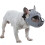 Breathable Short Snout Dog Muzzle, Adjustable, Lightweight Black 7