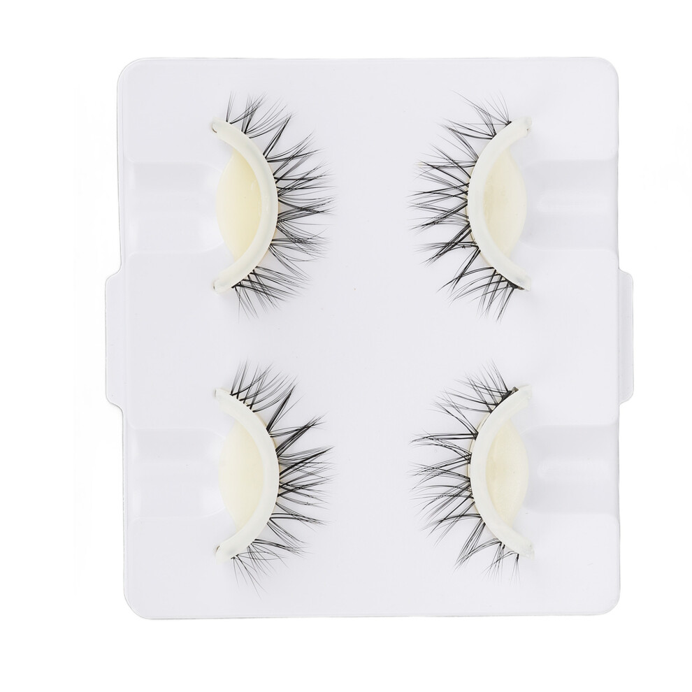 2 Pairs Natural Dense Reusable 3D False Eyelashes LD2203