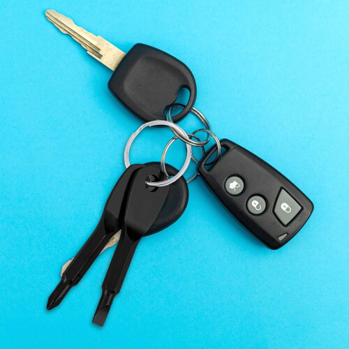 MultiFunctional Mini Screwdriver Set, 2Piece Keychain, Black, Flathead  Phillips, Portable  Lightweight 2
