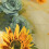 Sunflower Pattern Polyester Tulle Curtain 100x200cm Yellow Window Decor 5