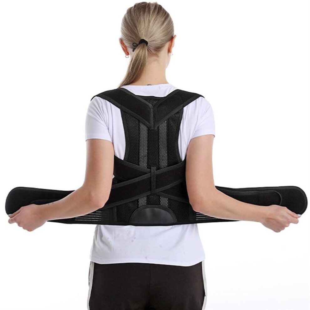 Adult Shoulder Posture Corrector Scoliosis Back Brace for Men and Women, Full Back Support Belt Adjustable Neck Clavicle Support (Gray X Small)