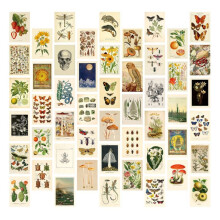 Vintage Aesthetic Wall Collage Kit - 50 Botanische Cottagecore Collage Art Posters (4X6 Inch), voor Trendy Photo Wall