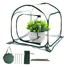 Clear PVC Observation Guard Cover For Garden Plant Allowing