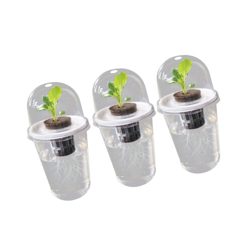 Hydroponic Seedling Planter Pots Transparency Root View-3 sets