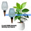 4pack Automatic Plant Water Bulbs Large Capacity Colorful-Blue 3