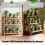 4pack Automatic Plant Water Bulbs Large Capacity Colorful-Blue 7