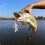 TARUOR 60 mm 14,5 g Mini-Crankbait-Köder Farbe 1-5 4
