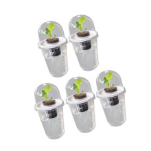 Visible Clear Plant Germination Cup Transparency Plastic-5 sets