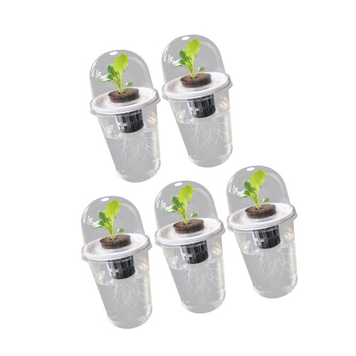 Pots de plantation hydroponiques pour semis,-5 ensembles