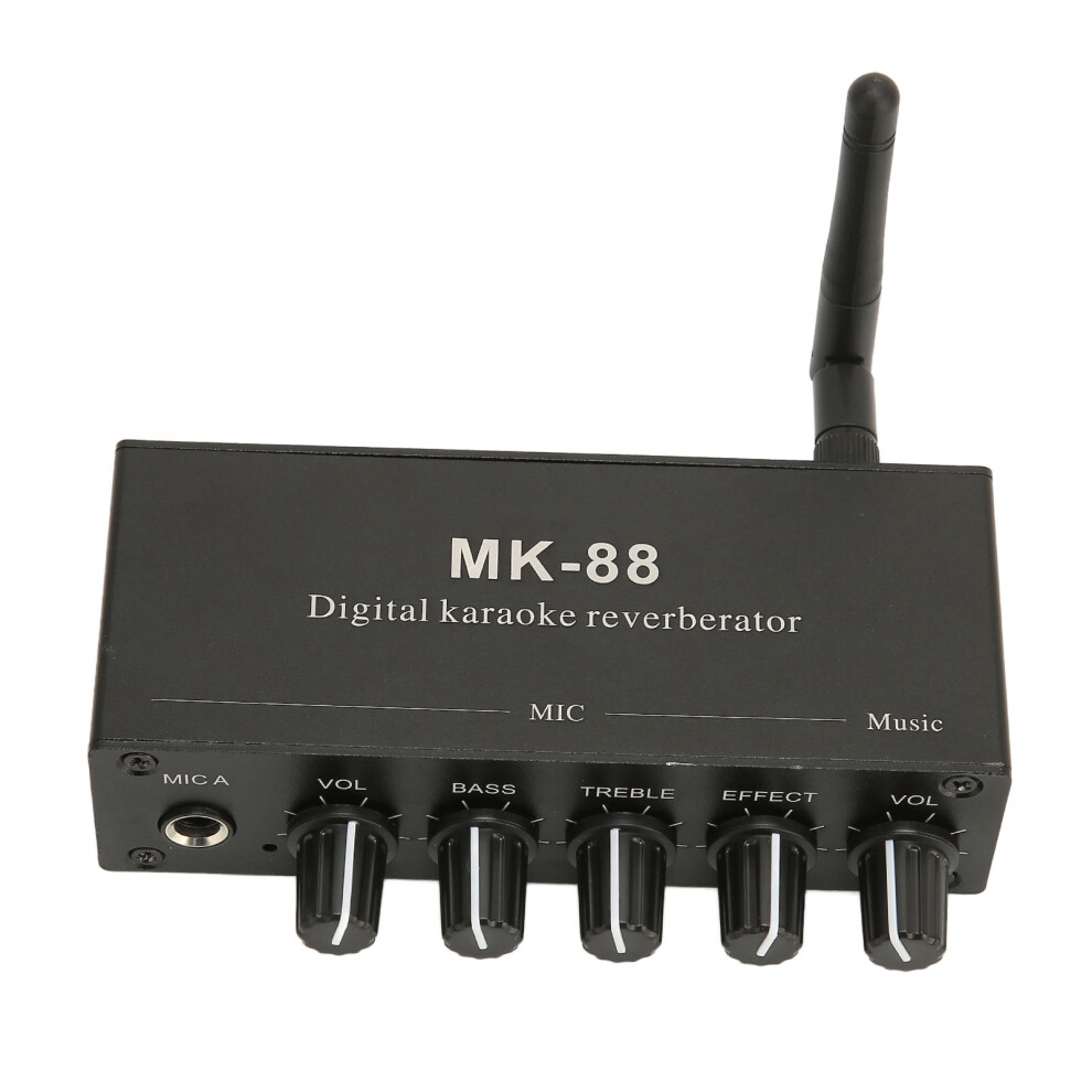 6.5Mm Karaoke Reverberator With Dual Mic Inputs & 5 Dials 7681374300526