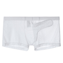 Men's Sexy Mesh Transparent Underpants, Breathable Elastic Low Rise Boxer Trunks, White, Size M