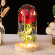Forever Rose, een prachtig cadeau voor vrouwen met een verlichte roos in een glazen stolp, een romantische rode zijden roos, een eeuwige roos, het