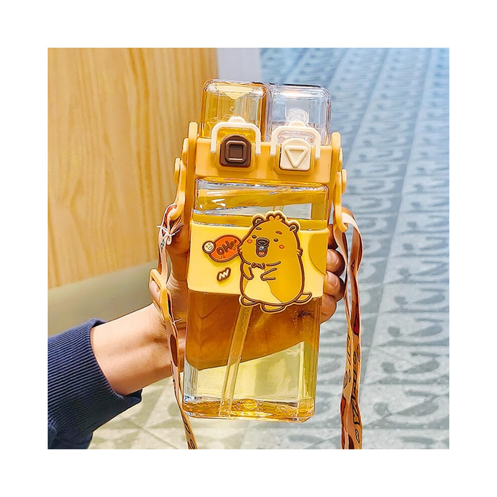 Water Bottle With Straw 520ml Double Drinking Leakproof Reusable Cup With Shoulder Strap Flip  For Kids