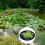 Low Maintenance Pond Protecting Net For Vegetation Durable-60cm 5