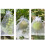 50Pcs Fruit Protective Bags for Strawberries-20x30cm 7