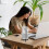 Acrylic Speaker Holder Compatible with Revolve+ Transparent Desktop Mount for Stable Home Audio Setup 4
