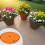 2Pcs Round Planter Insert Flowerpot Filler Insert with-Orange 5