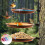 Plastic Bird Feeder Double Deck Design for Garden Wildlife 3