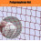 Badminton Net Stand Foldable, With Carry Bag, Lightweight Adjustable Net Support For Junior, No Tools Or Stakes Required 3