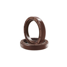 Brown FKM Fluoro Rubber Double Lip Oil Seal with Spring for Bearing Shaft 60x100x12