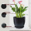 Stylish Black Planter with Drainage Hole-1 black package C150 4