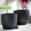 Stylish Black Planter with Drainage Hole-1 black package C150 6