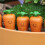 Realistic Smile Carrot Figurines Stake for Easter Celebration 4