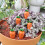Realistic Smile Carrot Figurines Stake for Easter Celebration 2