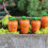 Realistic Smile Carrot Figurines Stake for Easter Celebration 6