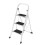Scaletta - HELLOSHOP26 - 3 livelli - Acciaio - Antiscivolo - Pieghevole 1