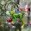 Authentic Frogs Decoration Enhances Any Space With Its Natural 5