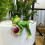 Authentic Frogs Decoration Enhances Any Space With Its Natural 4