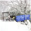 Calf Blanket Livestock Waterproof Warm Goat Blankets with Reflective Strips Ref: 5253 2