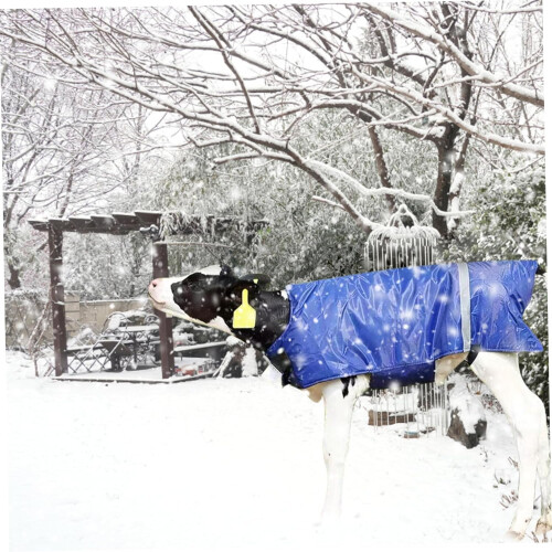 Calf Blanket Livestock Waterproof Warm Goat Blankets with Reflective Strips Ref: 5253 1