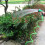 30M Expandable Garden Hose with Spray Gun  5 Function Nozzle 5