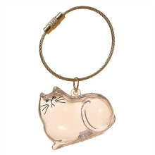 Aufbewahrungsbox für Tierhaare, Transparenter Andenkenbehälter für Katzenfell, DIY-Dekoration, Gedenkstätte für Tierliebhaber, Display, B