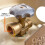 Leakage Detection Gas Tank Adapter with Color Coded Fuel Level Dial 3