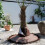 Plant Covers Freeze Protections Palm Tree Root Protector-Brown 6