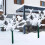 20m Tree Protector Wraps Winter Proof Tree Trunk Shrub Plant 5