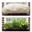 Winter Plant Protections Cover for Rectangular-100x41x52CM 6