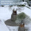 Plant Covers Freeze Protections Palm Tree Root Protector Wraps 6