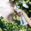 500ml Refillable Plastic Spray Bottle Empty Container Plastic 4