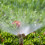 3 Hole Garden Irrigation Water Sprinkler-Without a filter 7